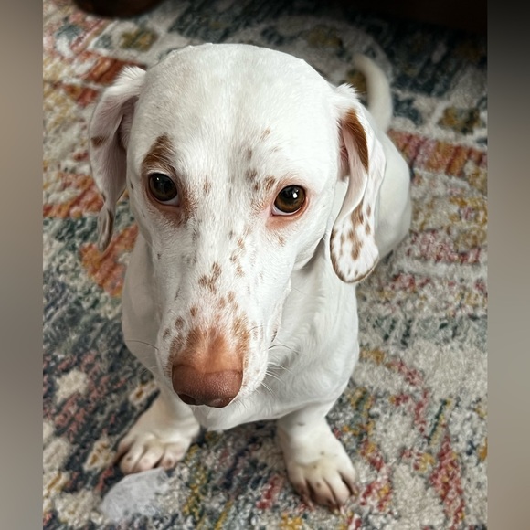 NOT FOR SALE - Picture 3 of 3